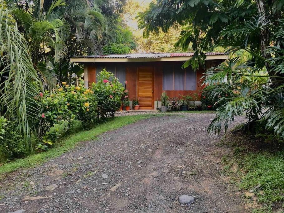 Apartmán Casa Sol Puerto Jiménez Exteriér fotografie