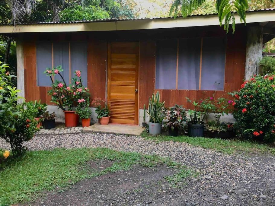 Apartmán Casa Sol Puerto Jiménez Exteriér fotografie